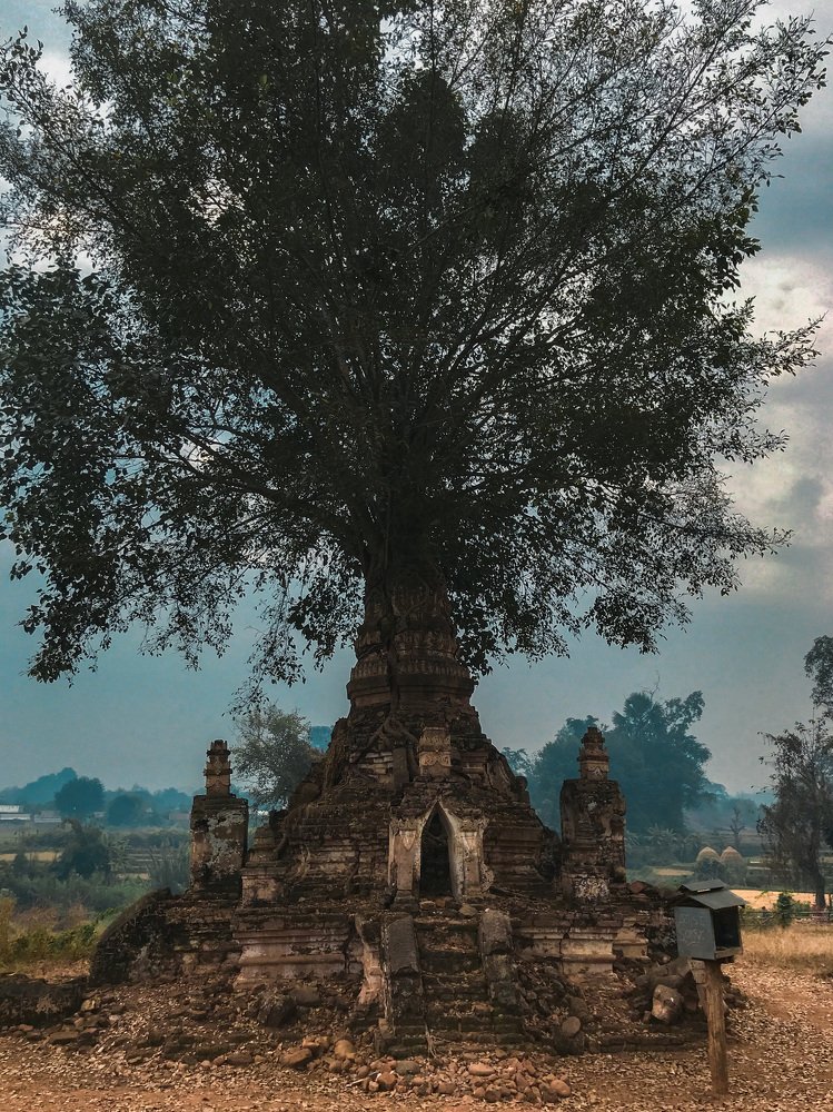 Фотография автора Crabz Skinny