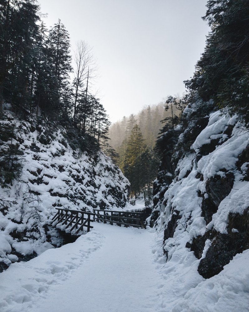 Photograph by Ivan Hnidko