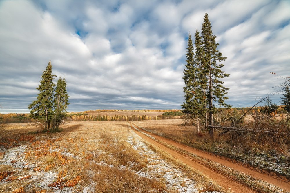 Дорога в осень