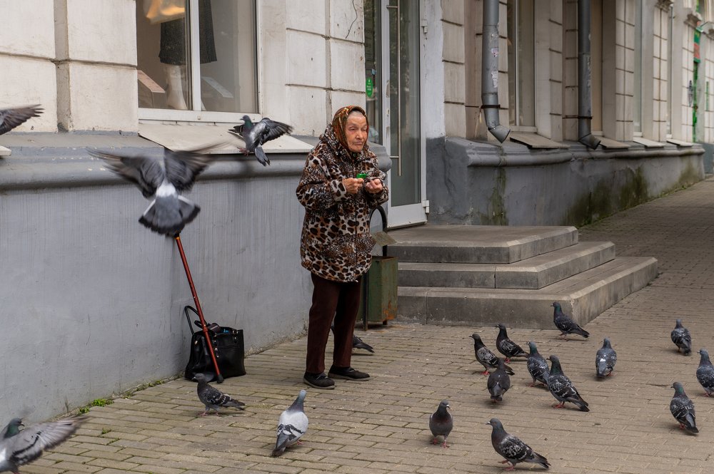 Photograph by Никита Колеганов