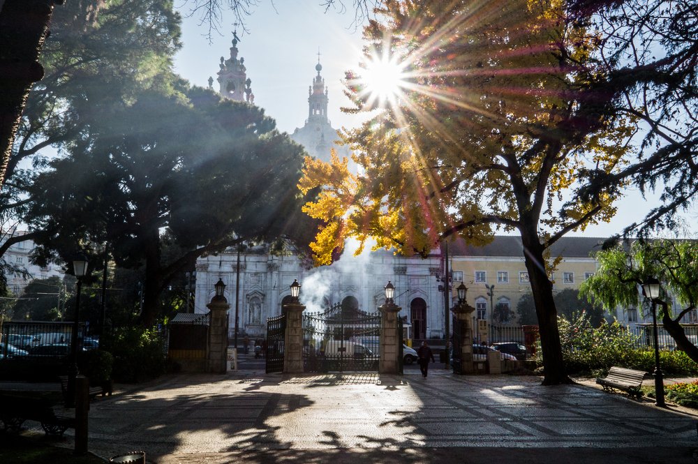 Photograph by Никита Колеганов