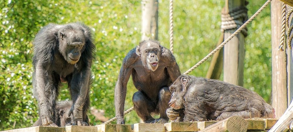 Photograph by Urmas Lind