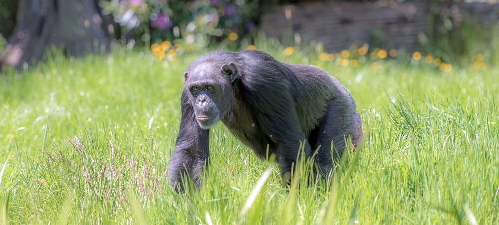 Photograph by Urmas Lind