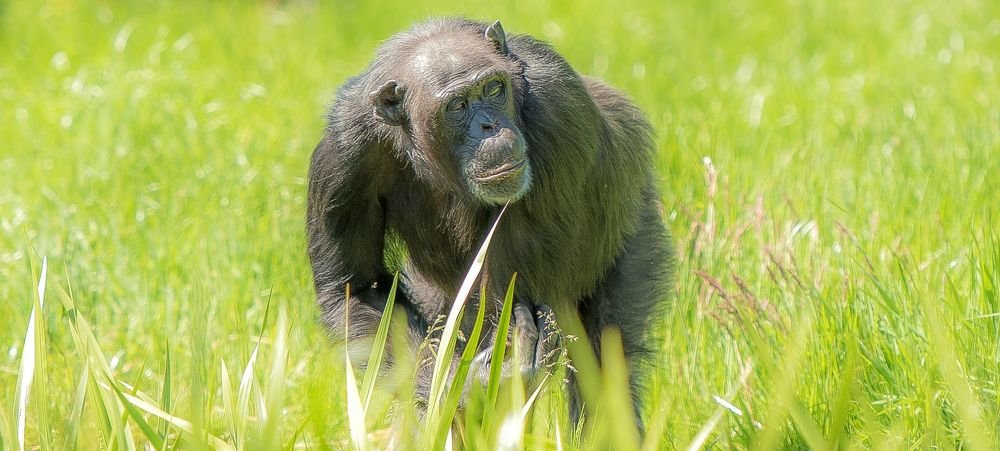 Photograph by Urmas Lind