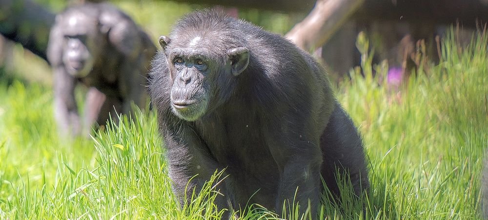 Photograph by Urmas Lind