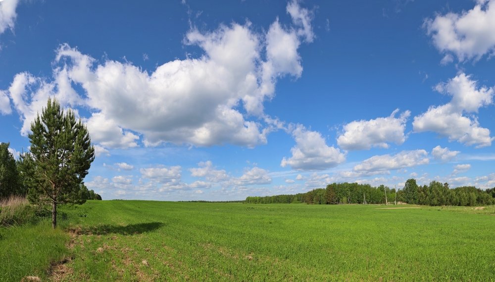 Photograph by Ирина Харлова