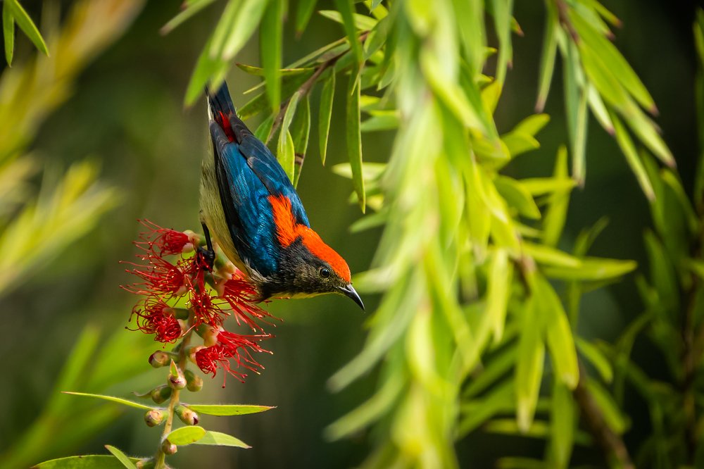 Photograph by SAYARI BANERJEE