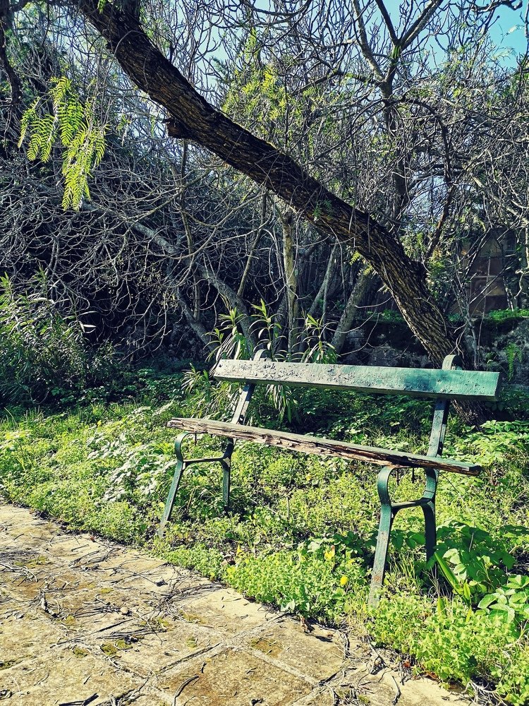 Photograph by George Stefos