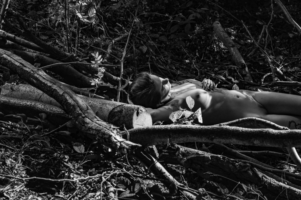 Photograph by Andrzej Pala