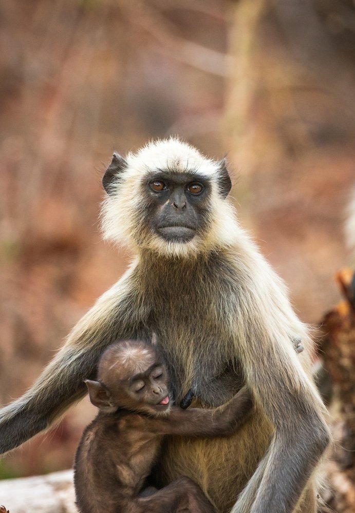 Photograph by SAYARI BANERJEE