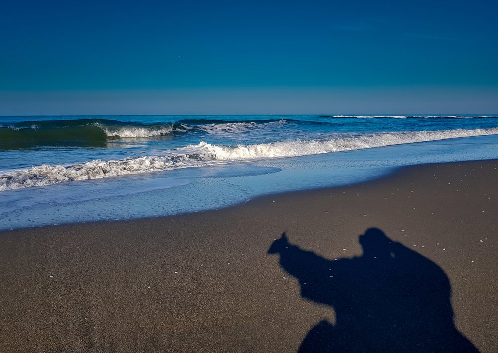 Photograph by Андрей Евтюшкин