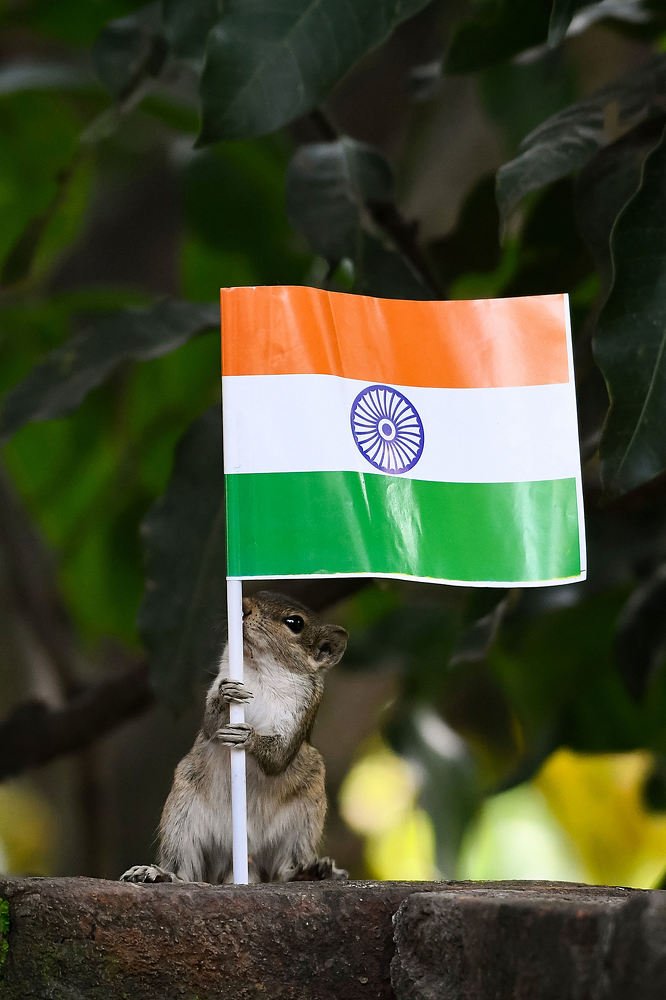 Photograph by SOUMYA KANTA GHOSH