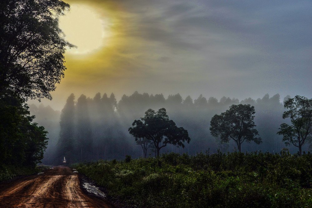 Amanecer con leve Niebla