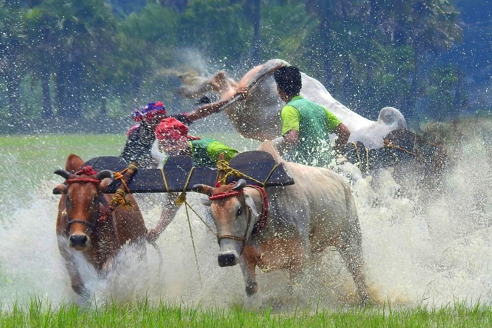 Photograph by Rupai Sahamandal