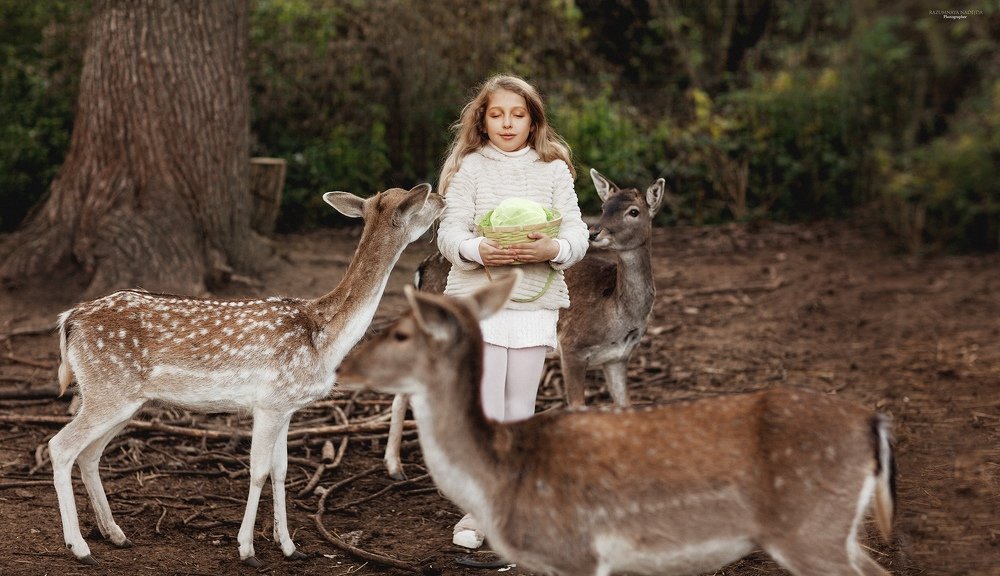 Photograph by Надежда Разумная