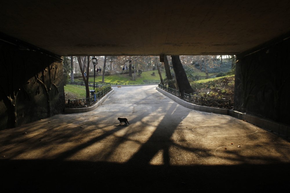 Photograph by Reyhane Ameri Pouya