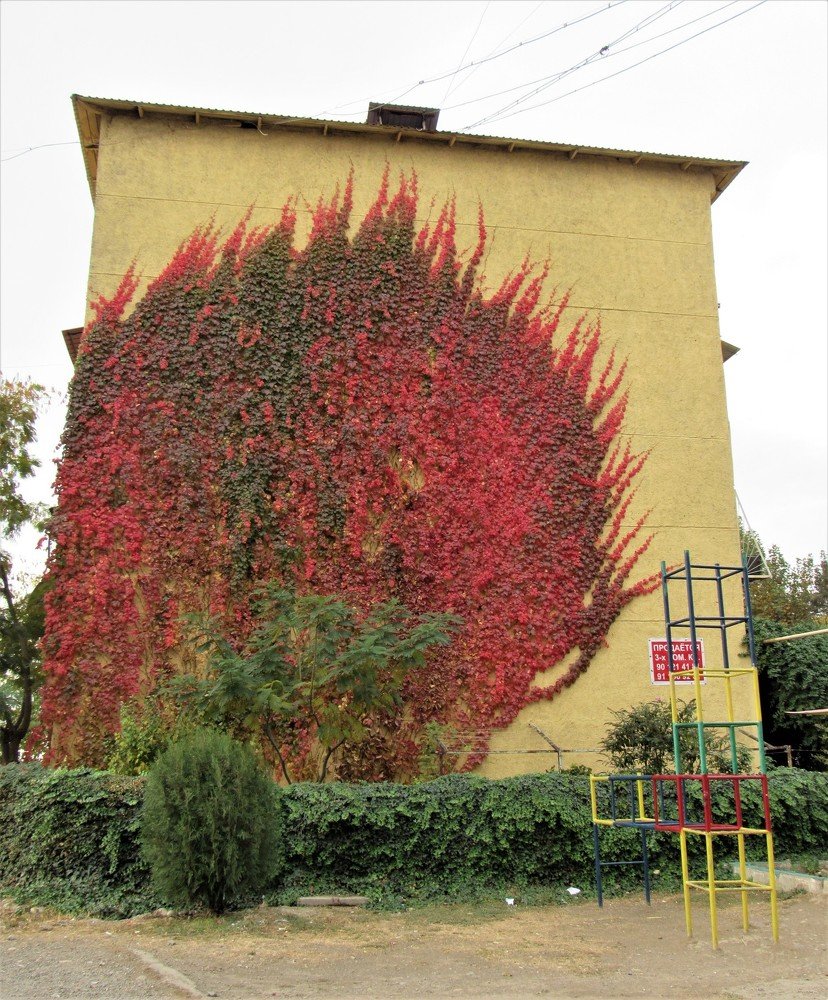 Photograph by Фотима Абдурахманова