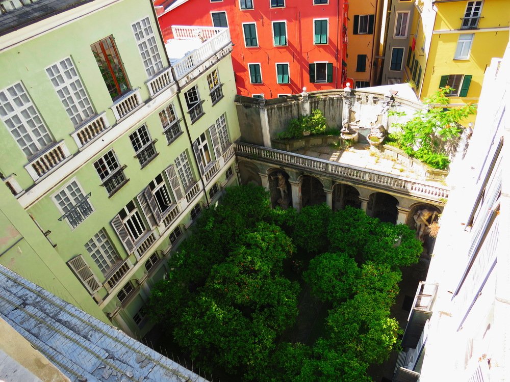 Photograph by Lungu Florin