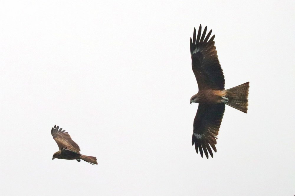 Photograph by Miona Lee