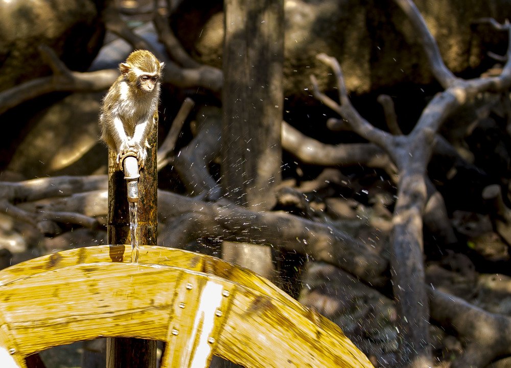 Photograph by Владимир