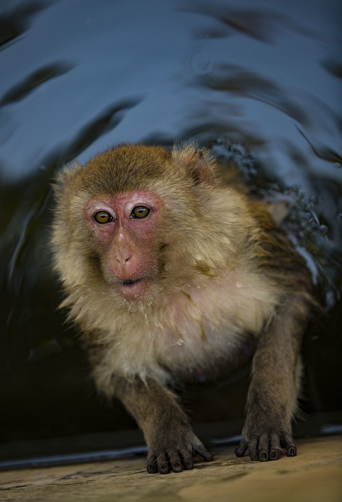 Photograph by Владимир