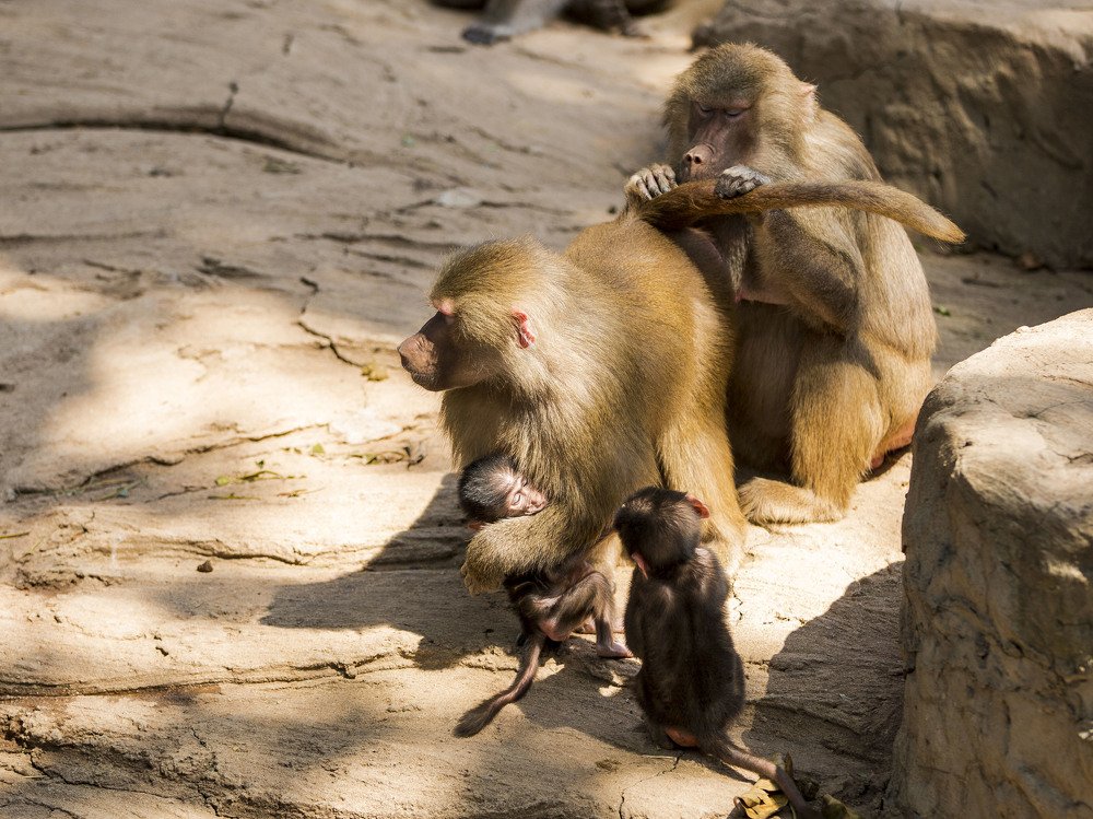 Photograph by Владимир