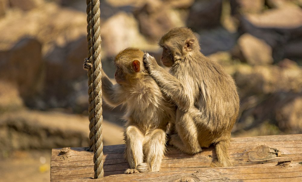 Photograph by Владимир