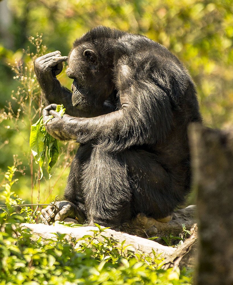 Photograph by Владимир