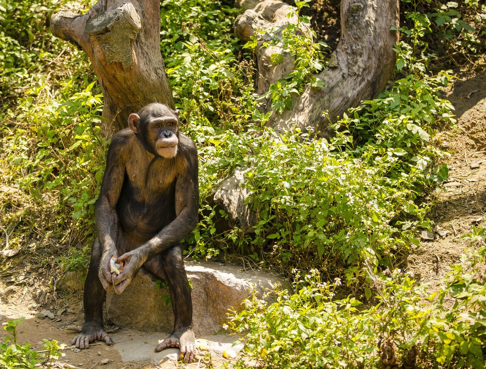 Photograph by Владимир