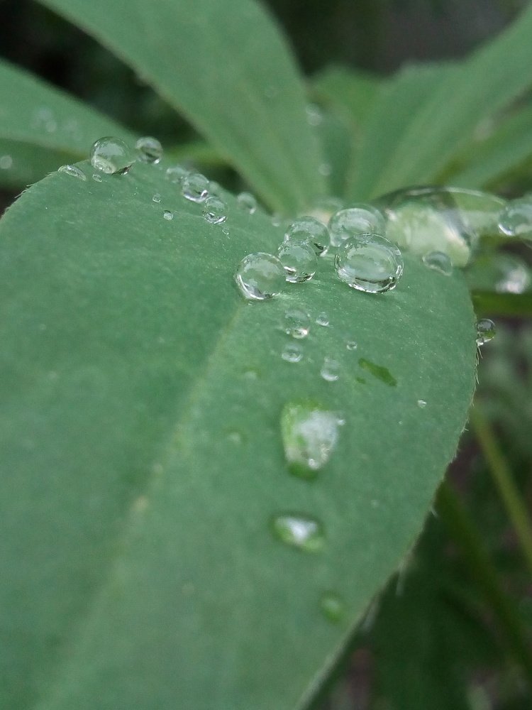 Photograph by Маргарита Данилина