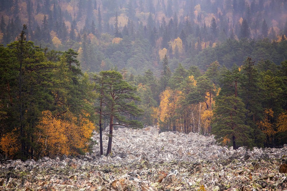 Photograph by Станислав Аристов