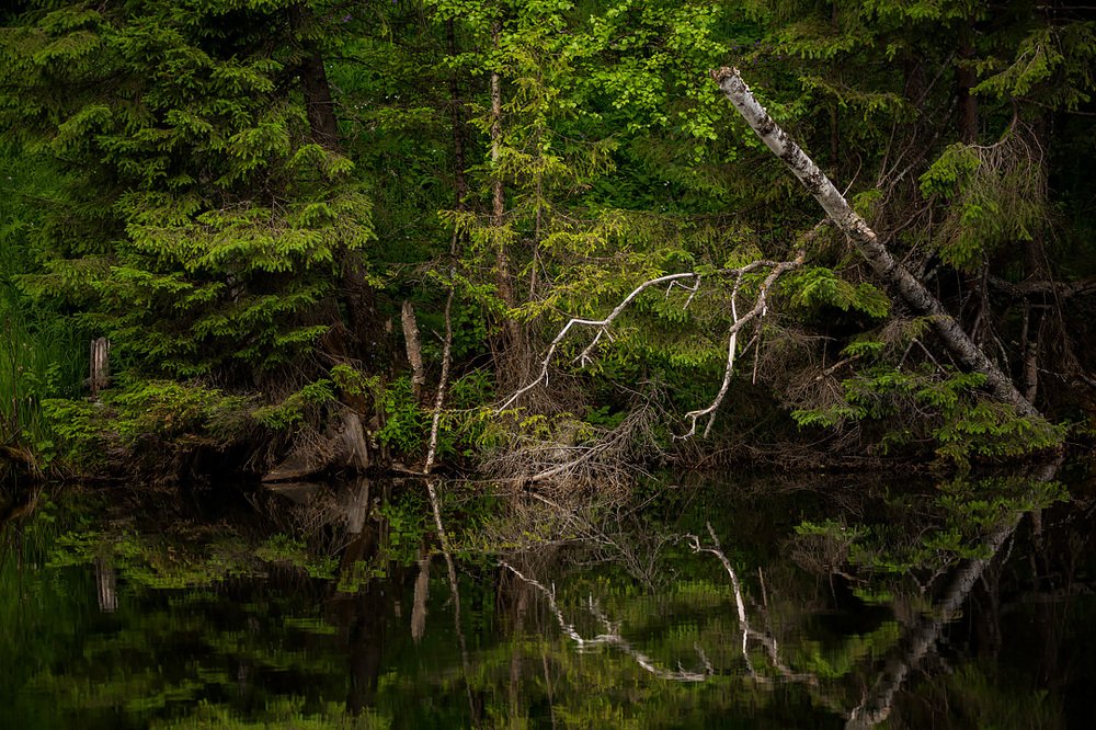 Photograph by Станислав Аристов