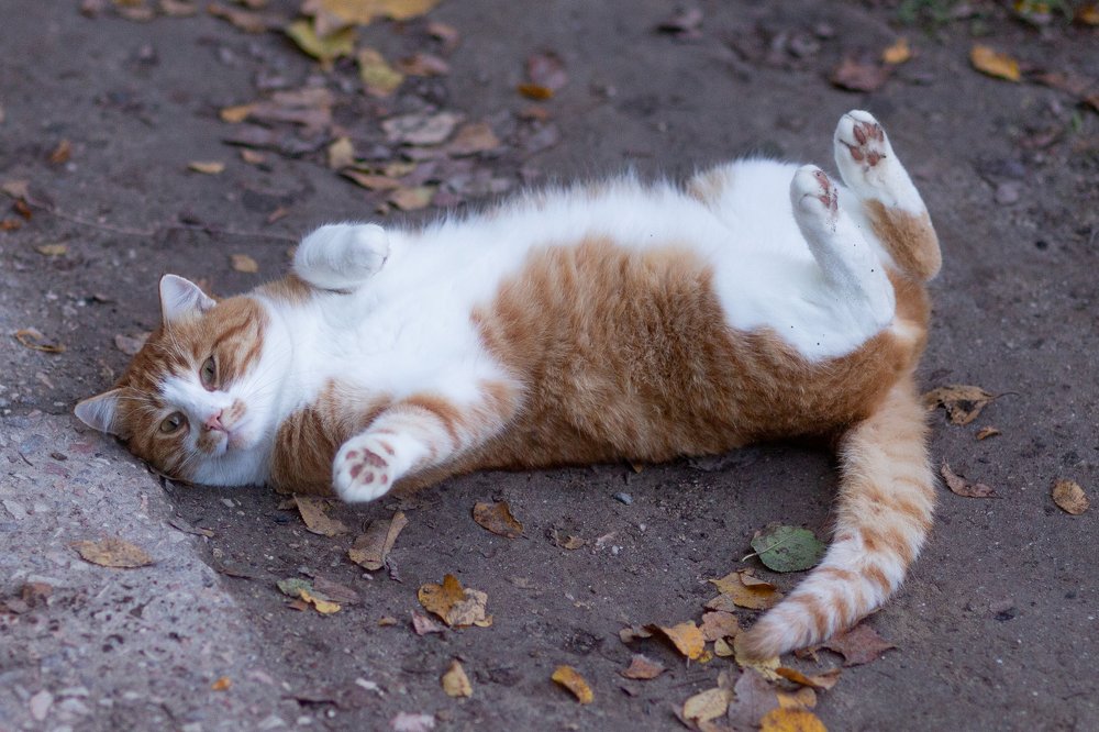 Photograph by Vladimir Soroka