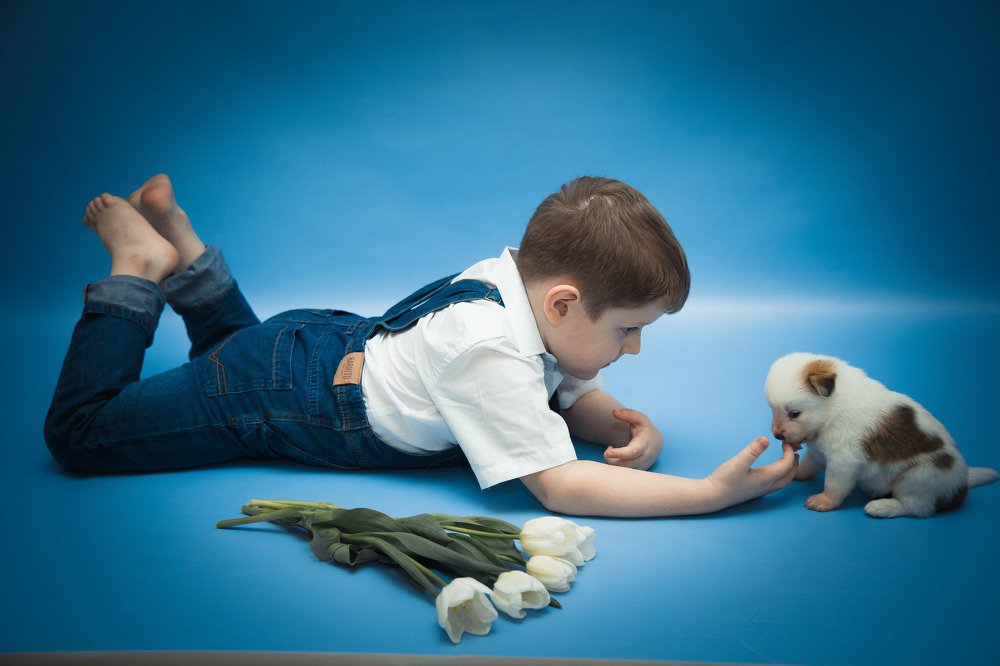 Photograph by Людмила Родина