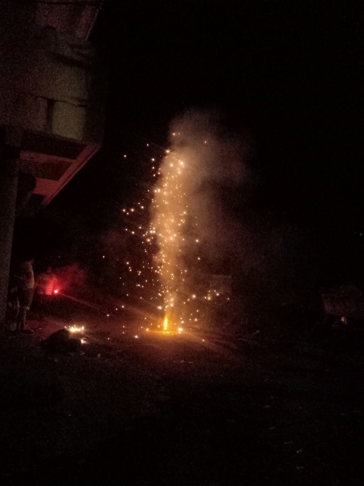 Photo #4167327