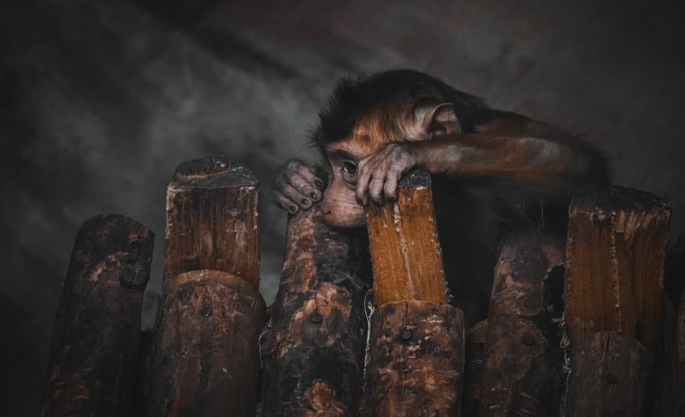 Photograph by Асилбек Юсупов