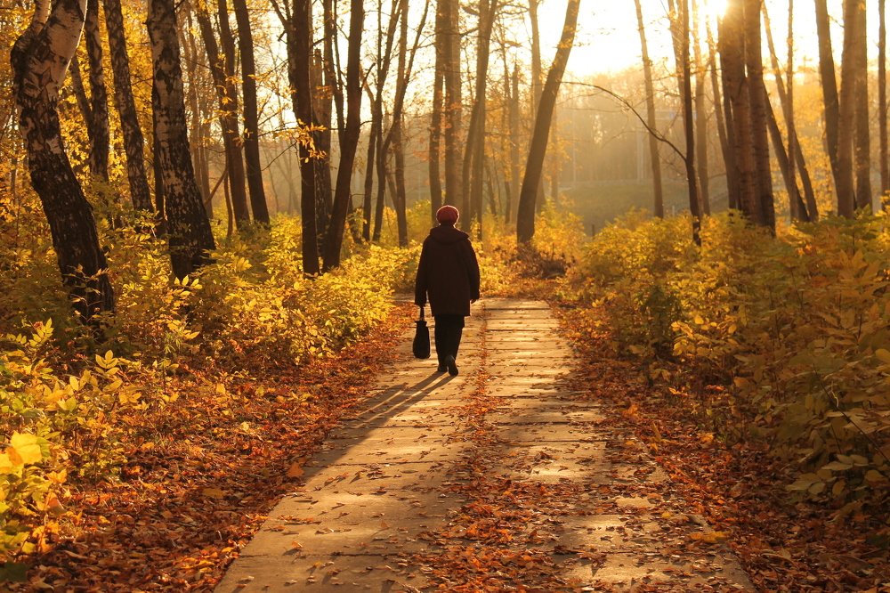 Photograph by Игорь Улитин