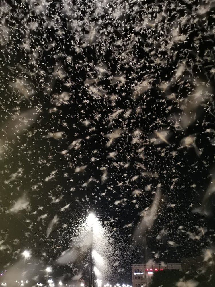 Photograph by Александр Полозов