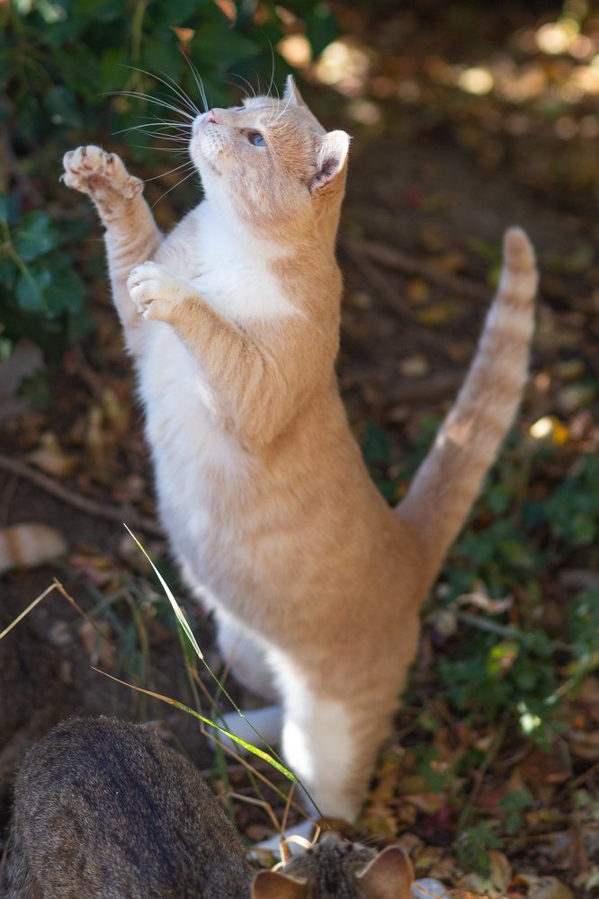 Photograph by Vladimir Soroka