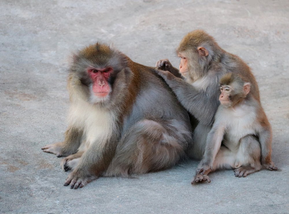 Photograph by Лариса Рулёва