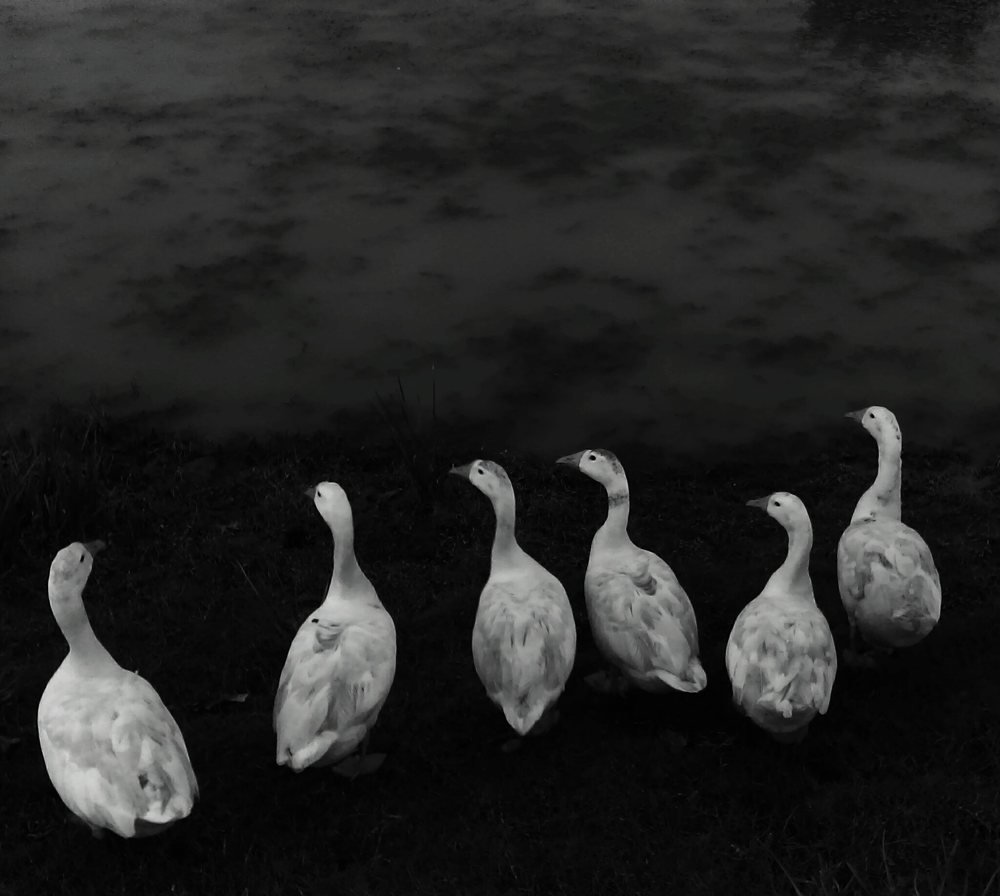 Photograph by Arif Hasan