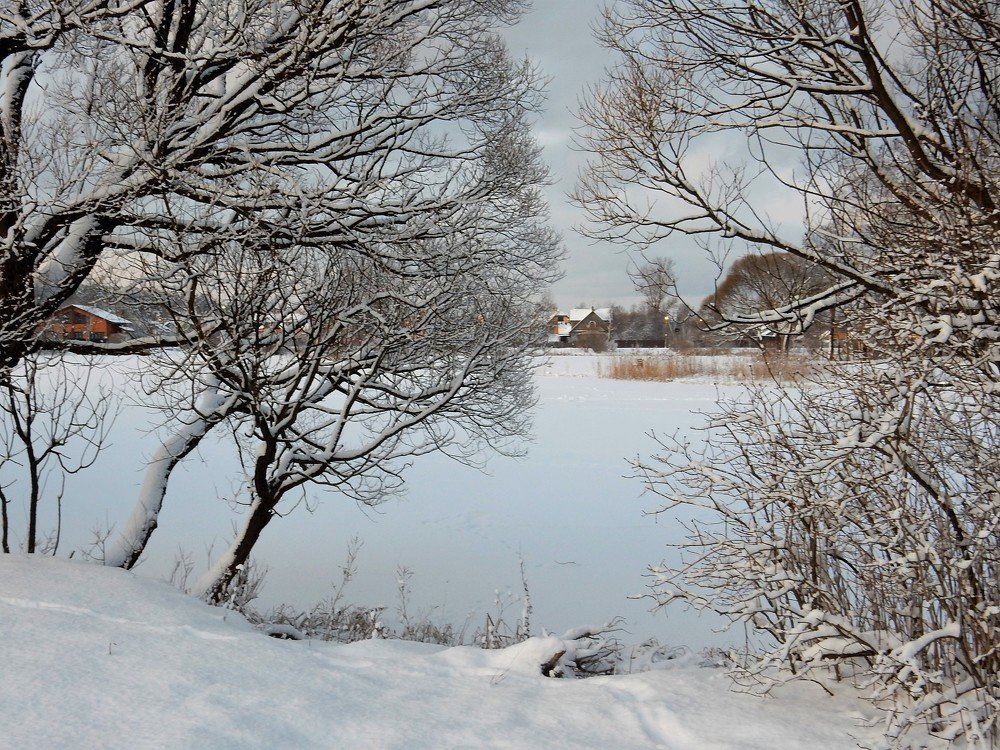 Photograph by Елена Гуляева