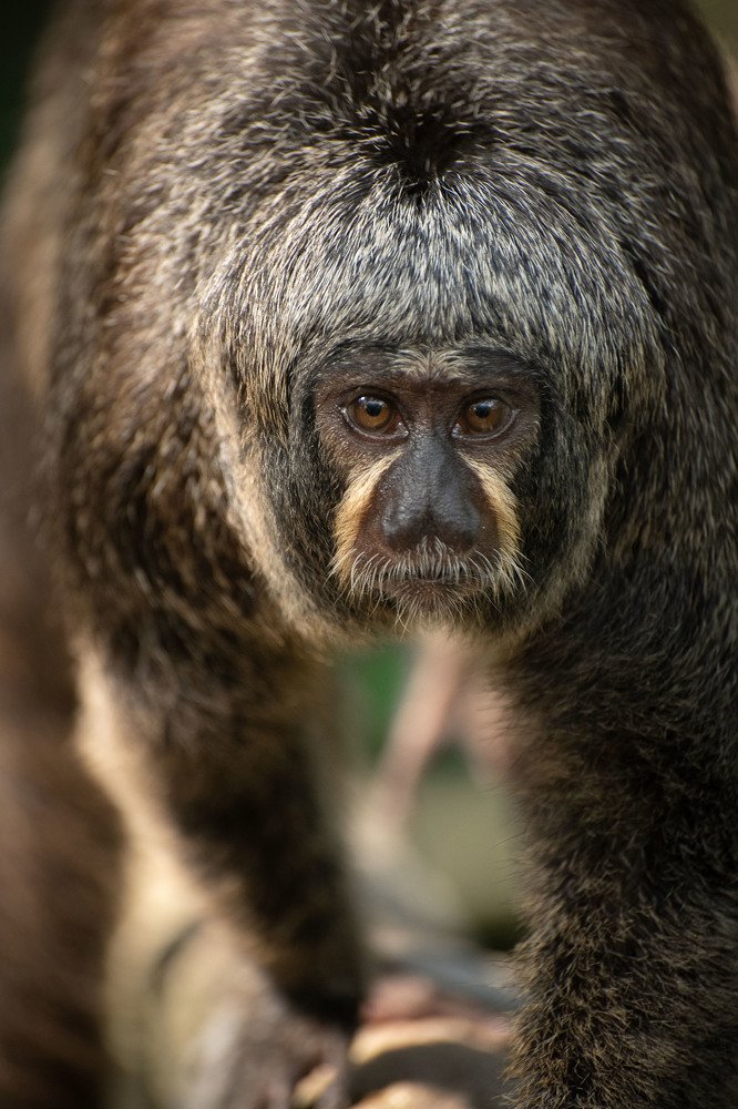 Photograph by Оксана Воронина