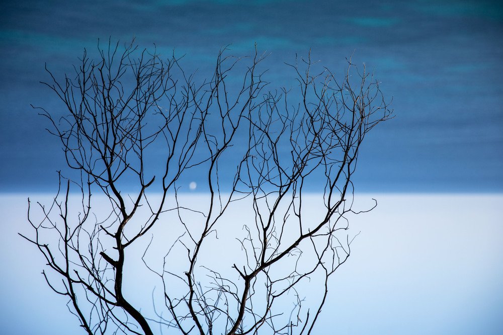 Photograph by Владислав Кучинский