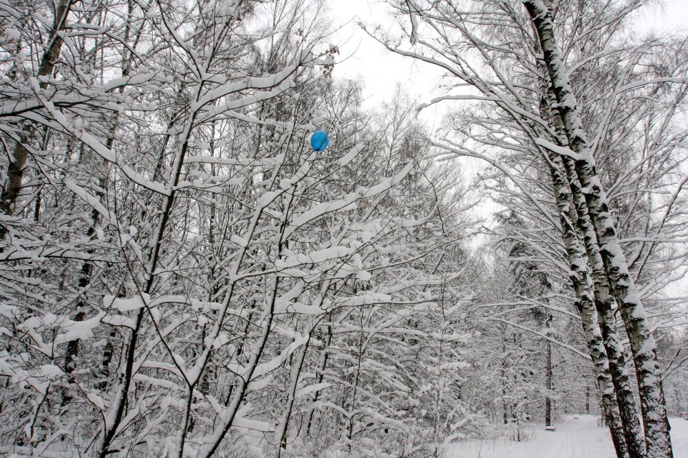 Photograph by Алексей Аедоницкий