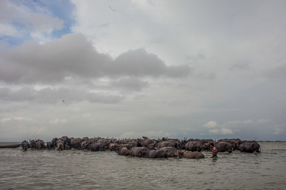 Photograph by Khandaker Azizur Rahman