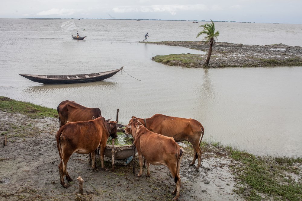 global climate change and sufferings