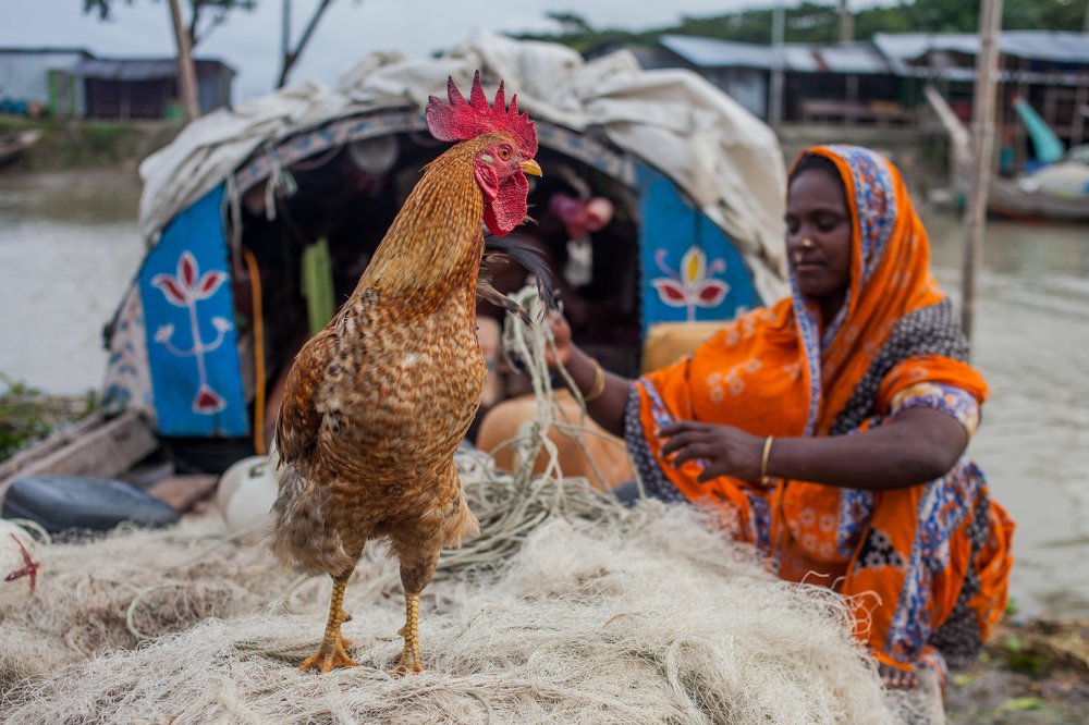 Photograph by Khandaker Azizur Rahman