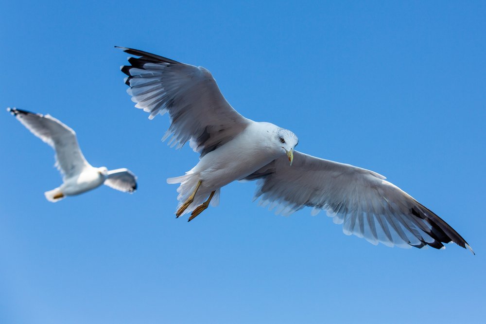 Photograph by Владислав Кучинский