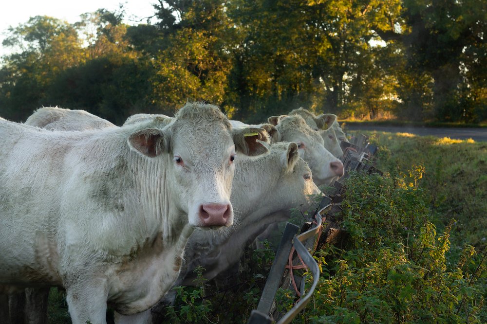 Photograph by Андрей Липсберг